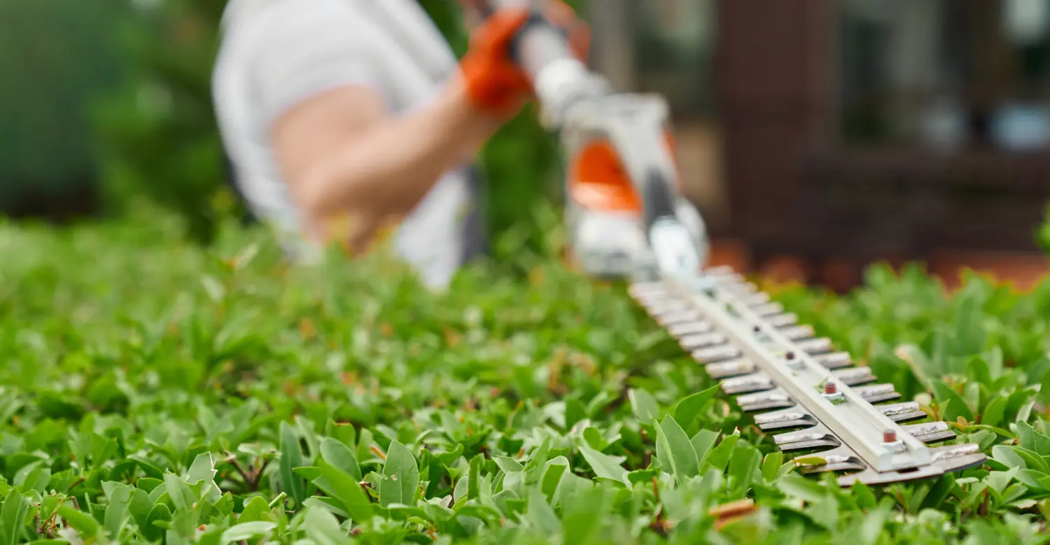 Grassvutter machine von DT Dienstleistungen