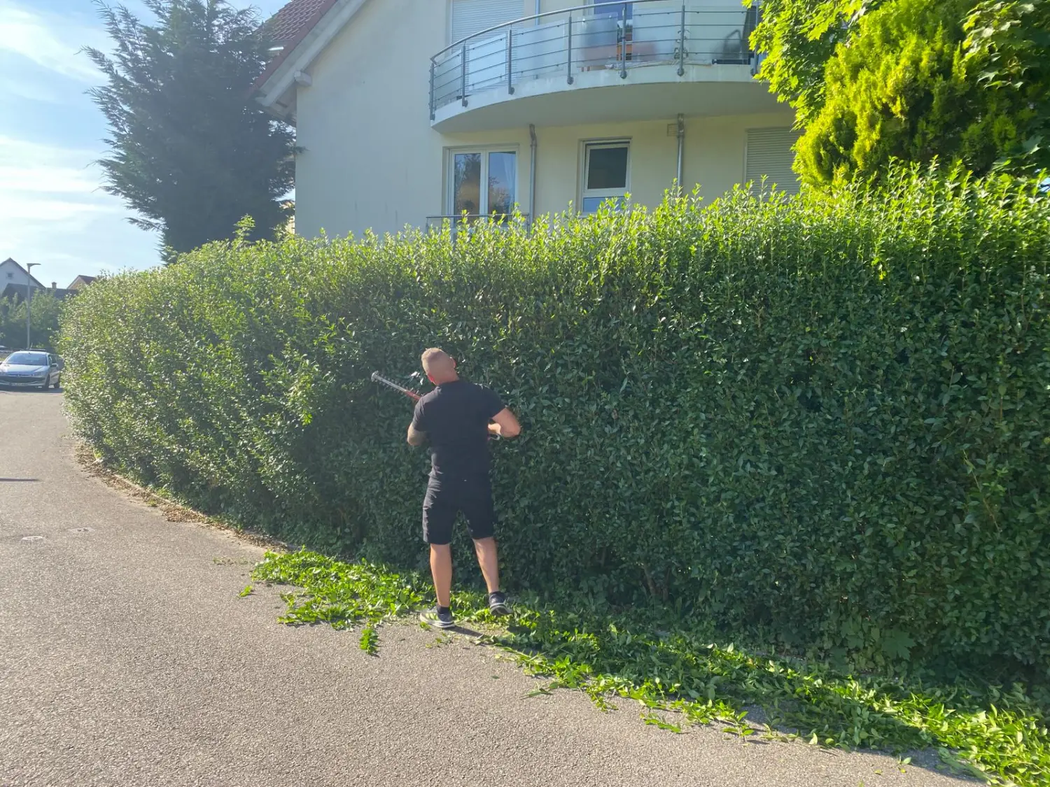 Ein Mann schneidet eine grüne Pflanzenwand von DT Dienstleistungen